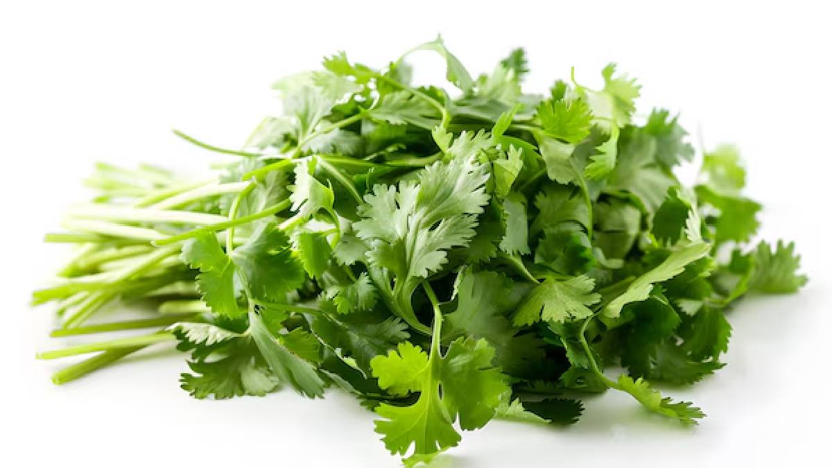 Coriander benefits