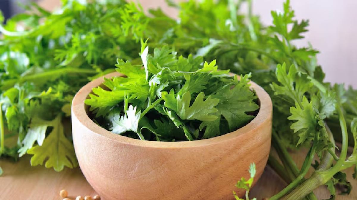 Coriander for hair