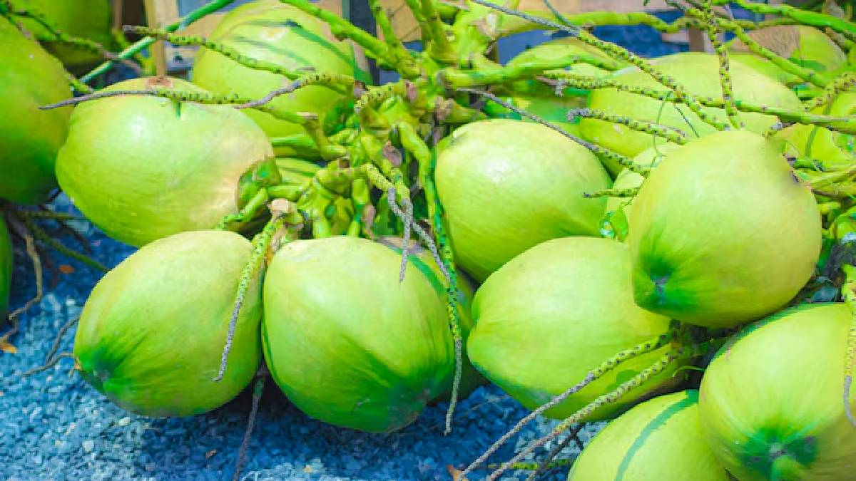 இருதயம் முதல் சருமம் வரை; இளநீர் தரும் ஆரோக்கிய நன்மைகள்!
