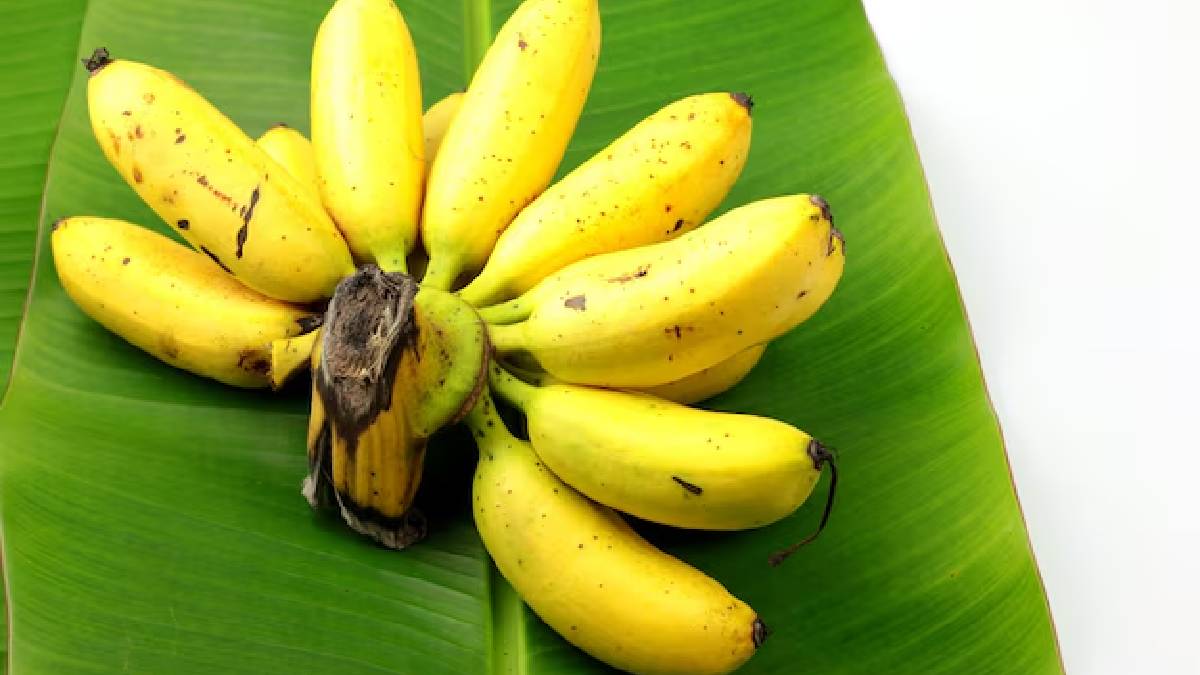 தினமும் ஒரு வாழைப்பழம் சாப்பிடுவதன் மூலம் உங்களுக்கு கிடைக்கும் ஆரோக்கிய நன்மைகள்