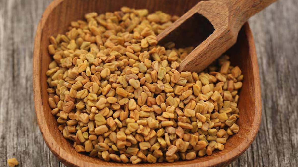 Fenugreek