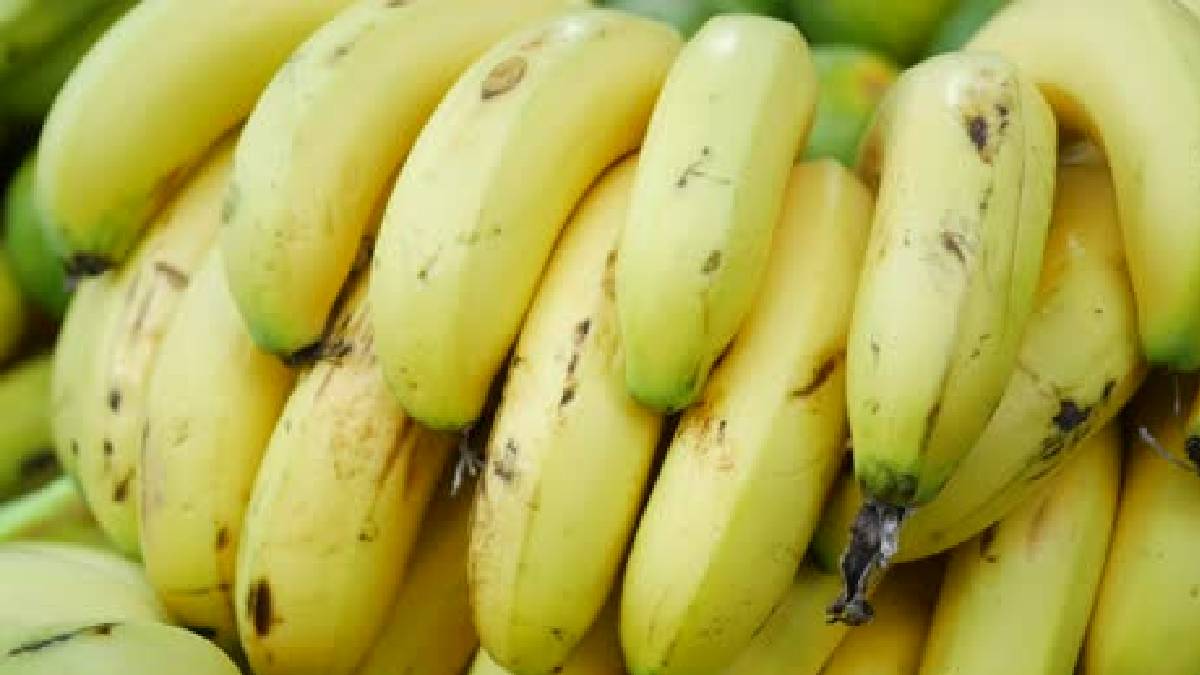Uses of banana
