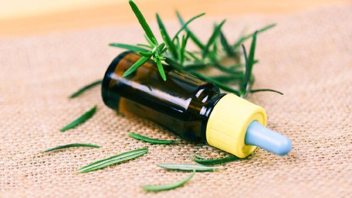 Rosemary benefits