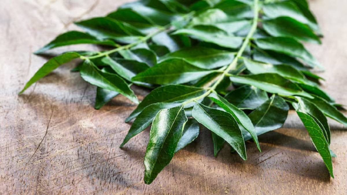Curry leaves