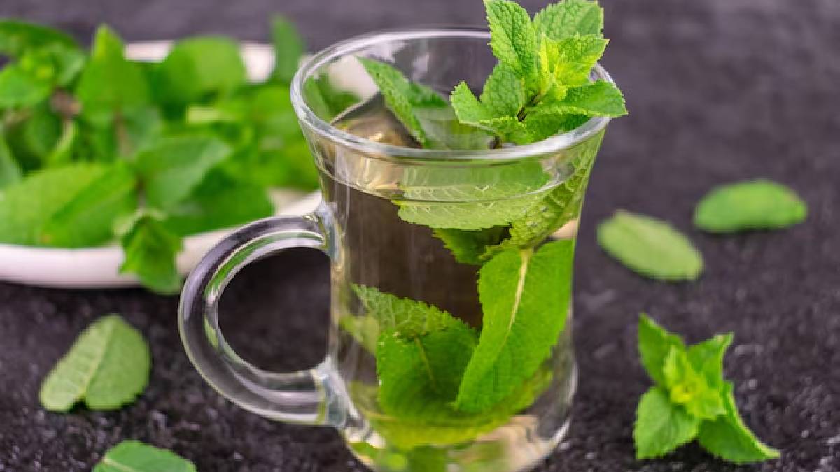 Mint water benefits
