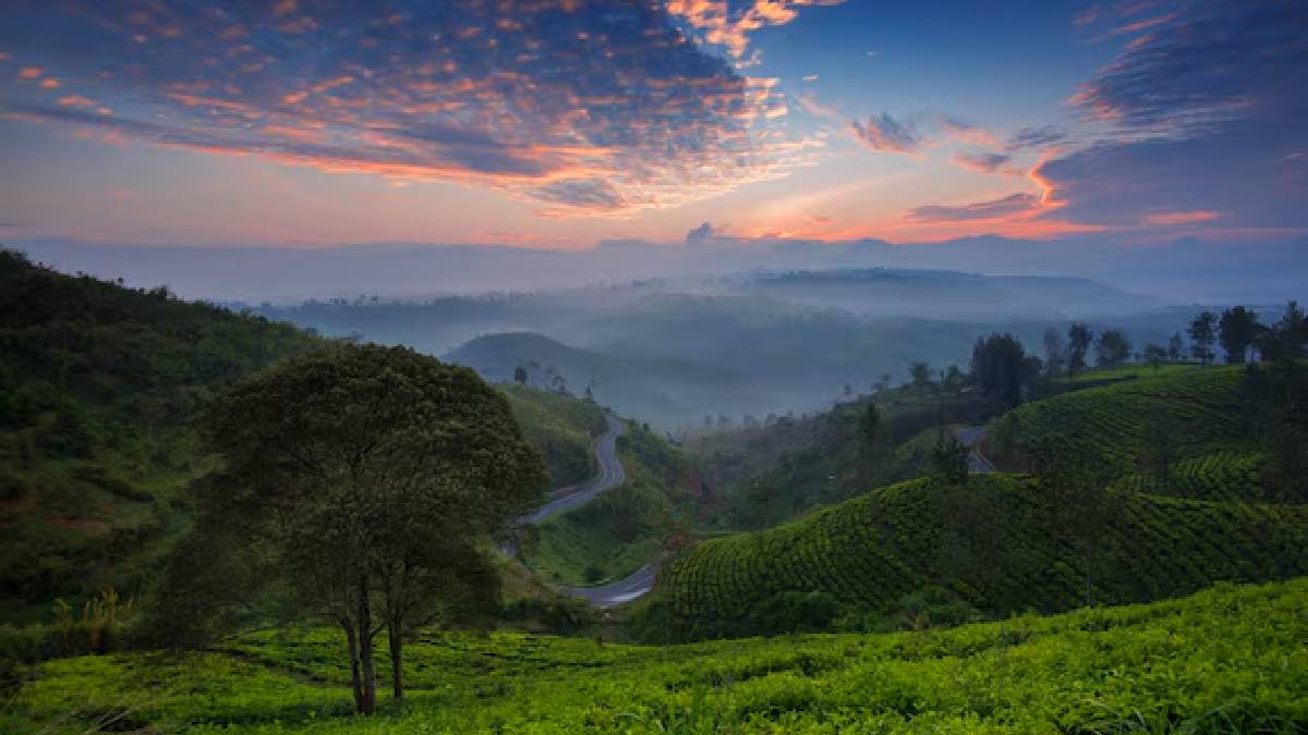 Coorg