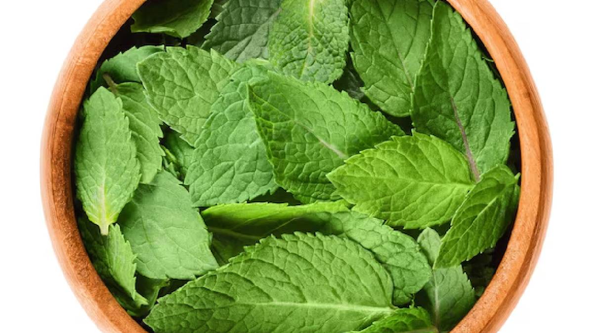 Omavalli leaf benefits