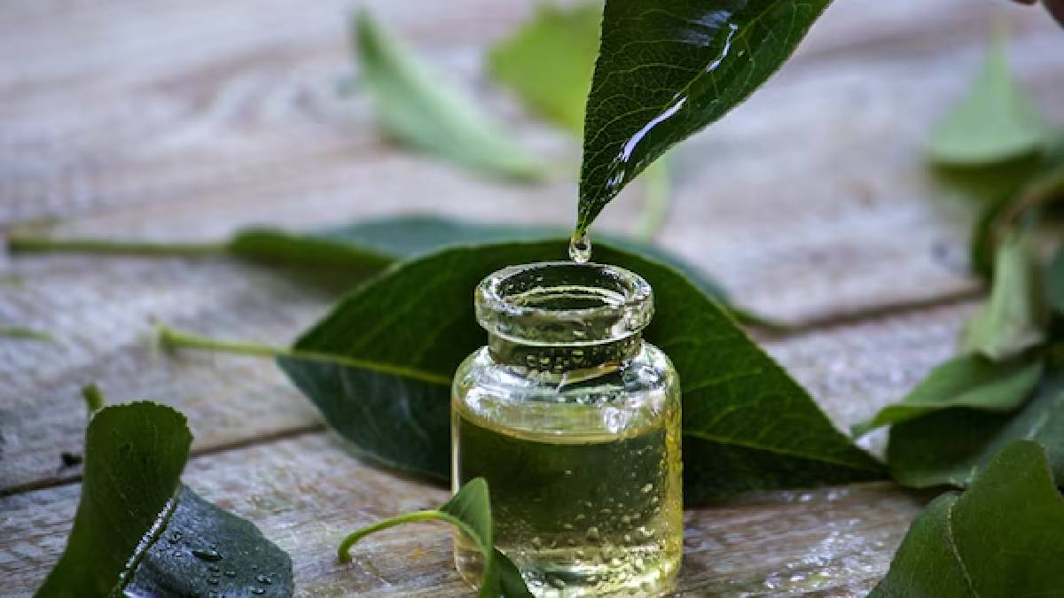 Neem oil