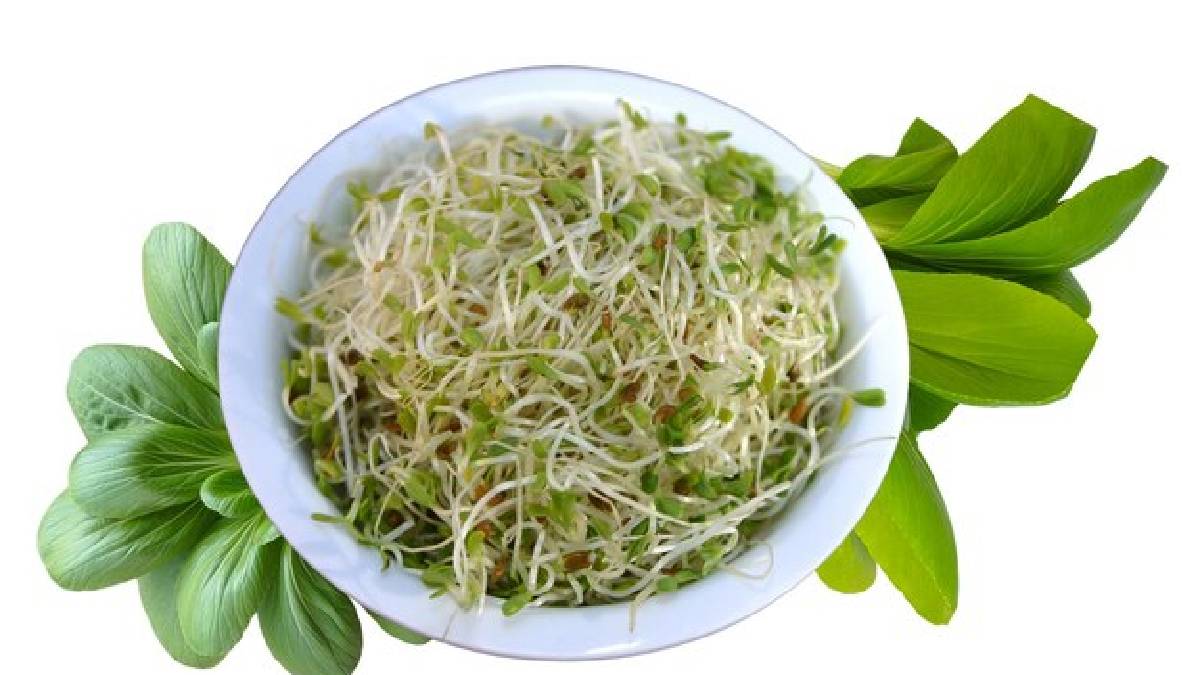 Uses of sprouted moong