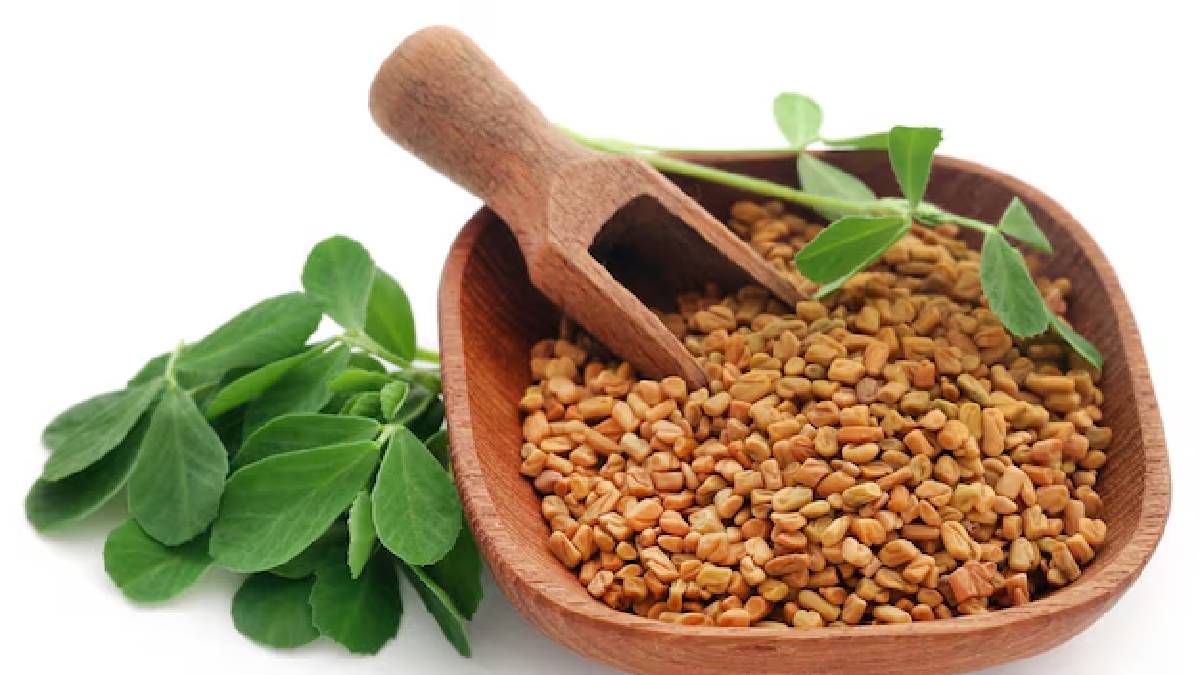 Fenugreek