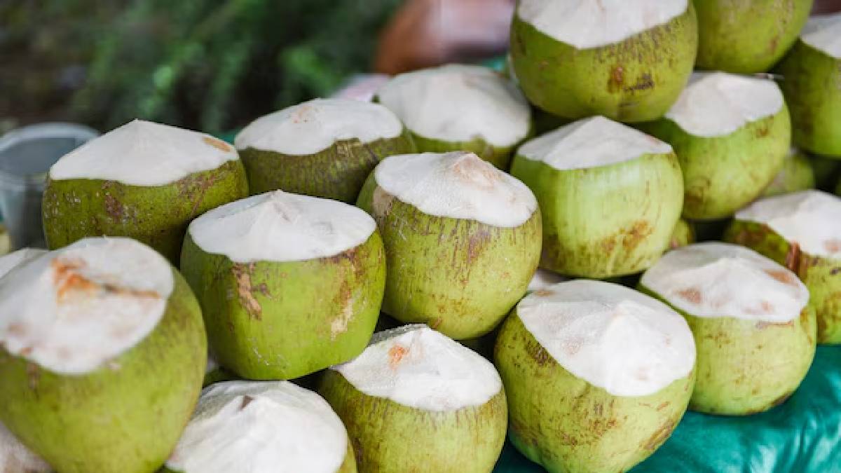 Tender coconut