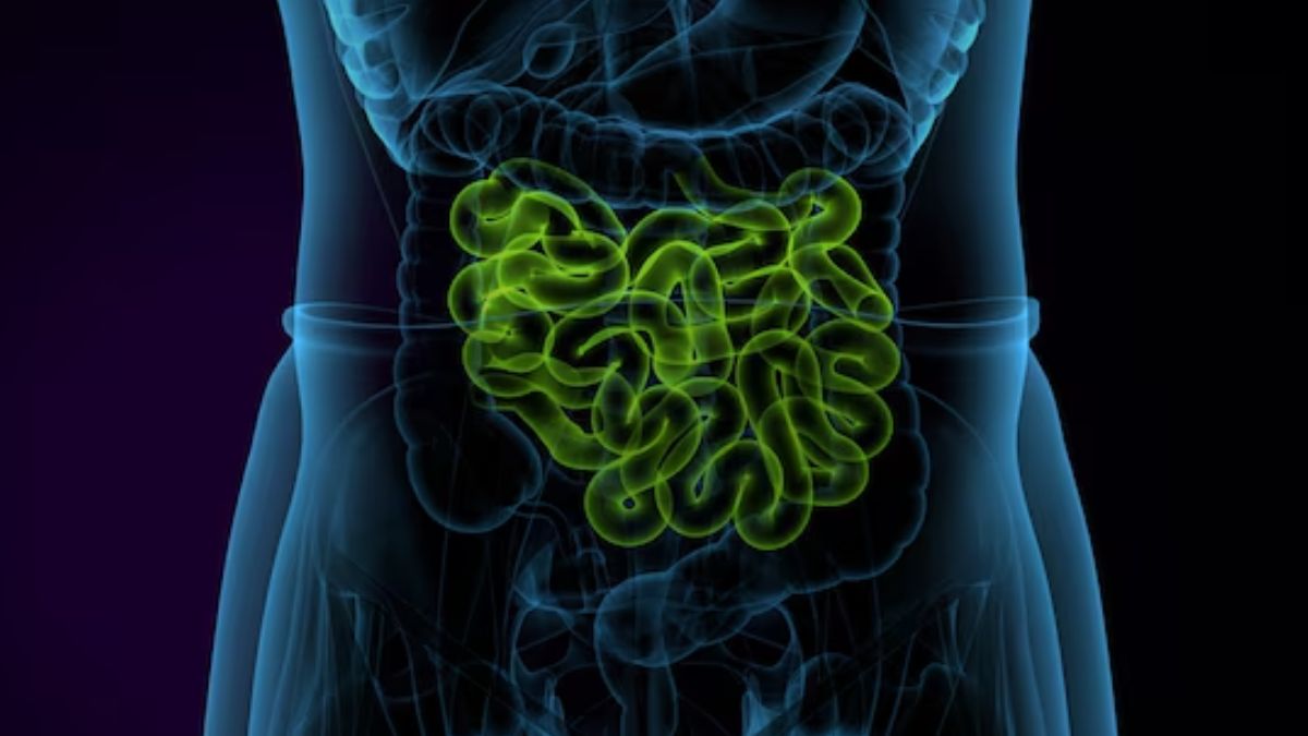gut health