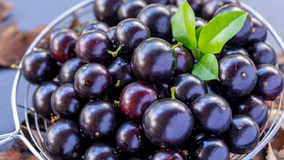 Uses of jamun fruit