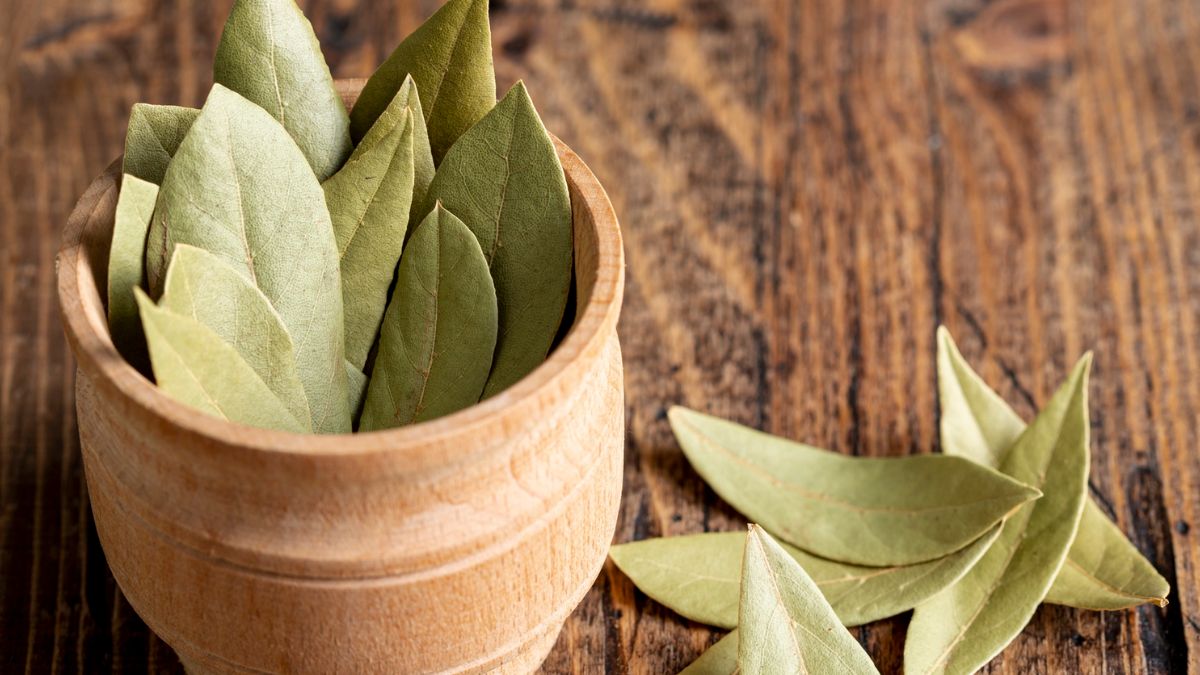 bay leaf