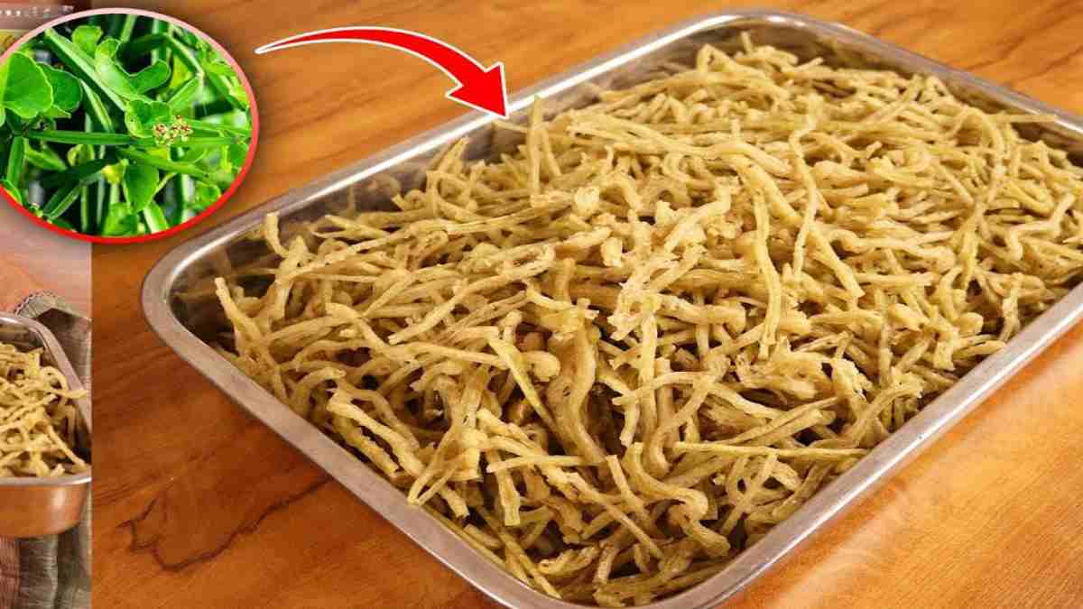 கால் வலிக்குத் தீர்வு காணும் பிரண்டை வற்றல்; வீட்டிலேயே இப்படி செய்துப்பாருங்க!