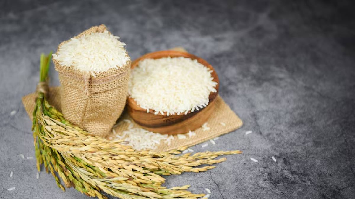 கல் உப்பு முதல் பிரிஞ்சி இலை வரை; பூச்சிகளிடம் இருந்து அரிசியை பாதுகாக்கும் எளிய வழிகள்