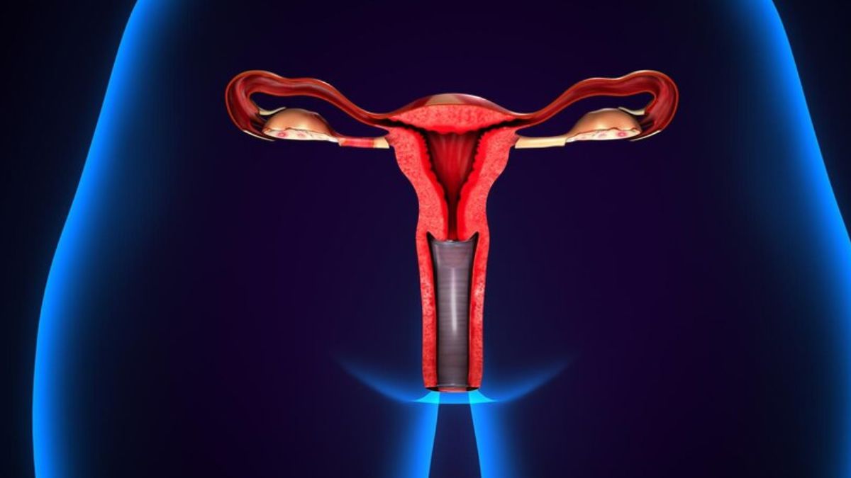 uterus care