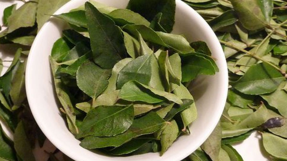 curry leaf water