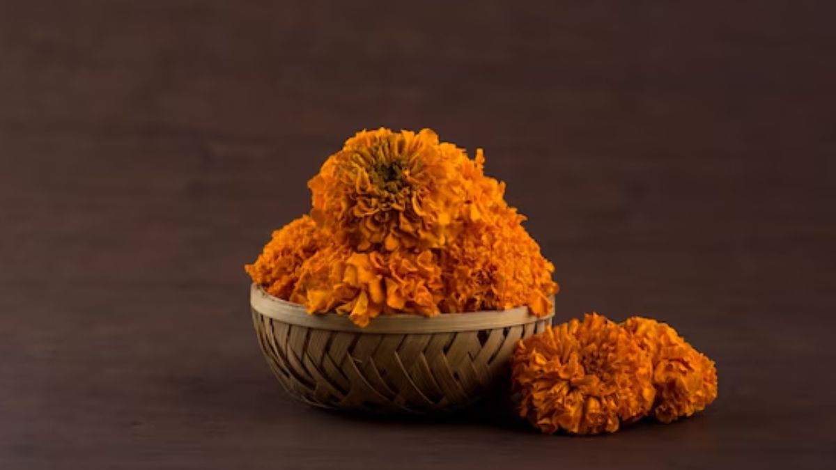 குளிர்காலத்தில் சாமந்தி பூக்களை கொண்டு சருமத்தை பளிச்சென்று மாற்றும் ஃபேஸ் பேக்