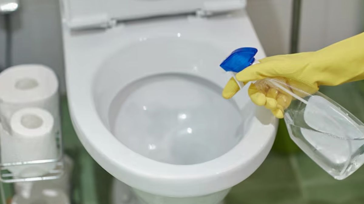 கைகளை பயன்படுத்தாமல் கழிப்பறையை பளிச்சென்று சுத்தம் செய்ய உதவும் குறிப்புகள்