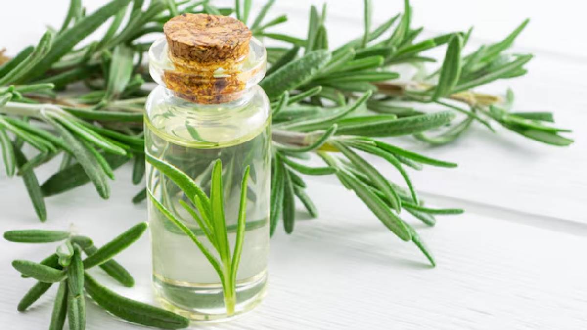Uses of Rosemary Oil