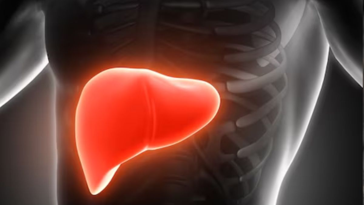 liver