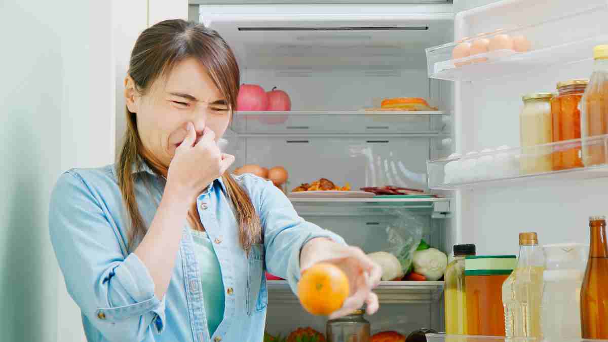 Fridge cleaning in Winter: குளிர்காலத்தில் ப்ரீட்ஜ் அதிக துர்நாற்றம் வீசுகிறதா? இந்த டிப்ஸ்களைப் பின்பற்றுங்க போதும்!