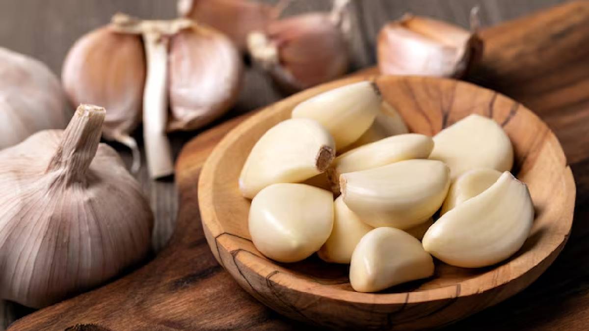 Garlic