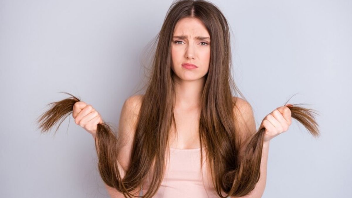 split end hair