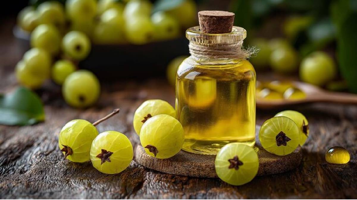 Amla Oil for Hair: குளிர்காலத்தில் நெல்லிக்காய் எண்ணெய் பயன்படுத்துவதால் கூந்தலுக்கு கிடைக்கும் நன்மைகள் என்னென்ன?