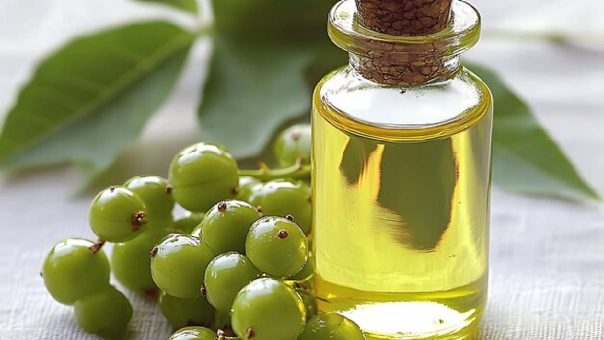 Amla Oil
