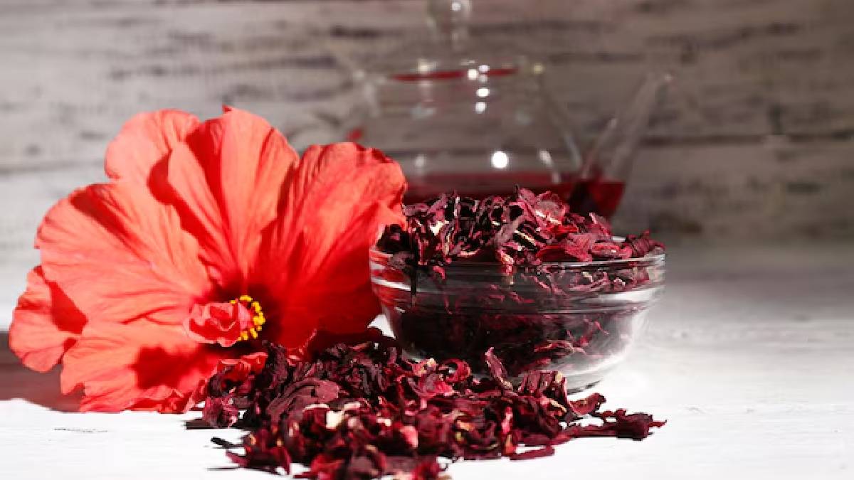 Hibiscus for Hair Growth: குளிர்காலத்தில் அதிகரிக்கும் முடி உதிர்வு பிரச்சனை? கூந்தலை வலுப்படுத்த உதவும் செம்பருத்தியை இப்படி பயன்படுத்தவும்