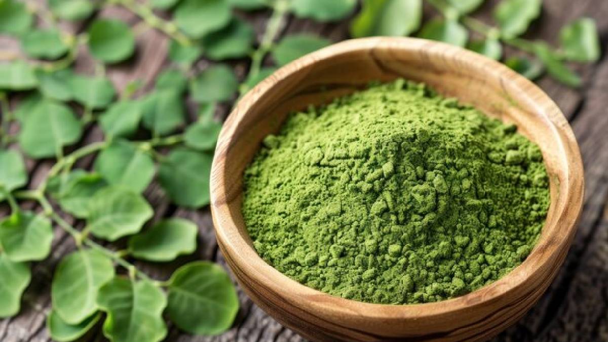 Benefits of Moringa: குளிர்காலத்தில் முருங்கை பொடி எடுத்துக் கொள்வதன் மூலம் கிடைக்கும் பயன்கள்