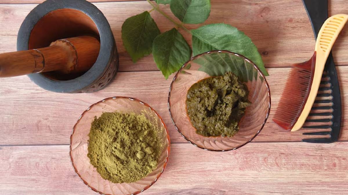 Henna Hair Pack: குளிர்காலத்தில் முடி உதிர்வை தடுக்க உதவும் 4 மருதாணி ஹேர்பேக்; வீட்டிலேயே ஈசியாக செய்யலாம்