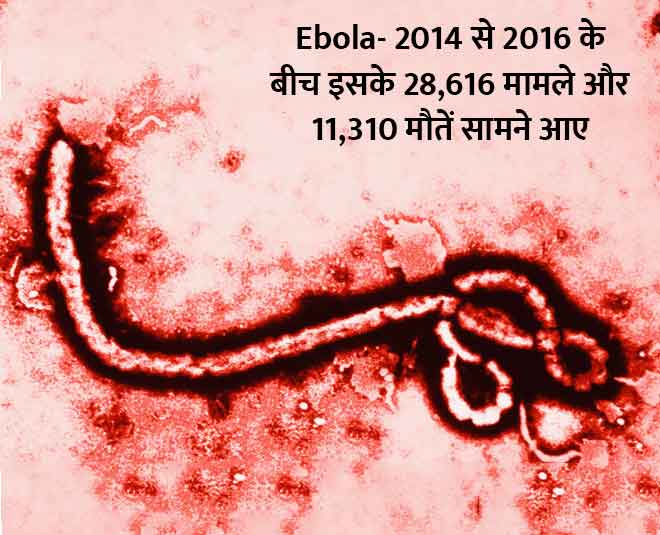  diseases of  which made everybody s life hellinside