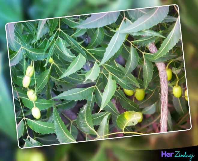 diya mirza for beauty inside