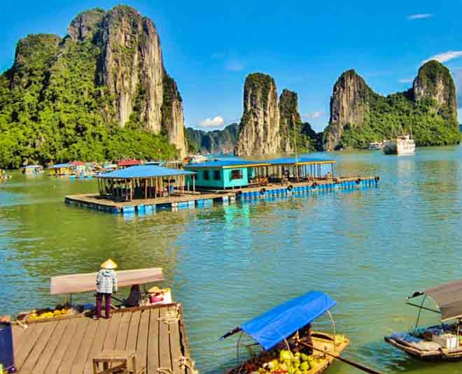 floating markets india inside
