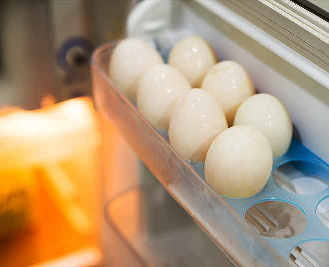 protein food health inside