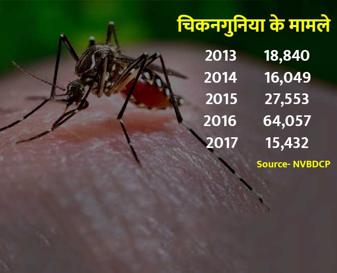 wellness yearender of disease inside