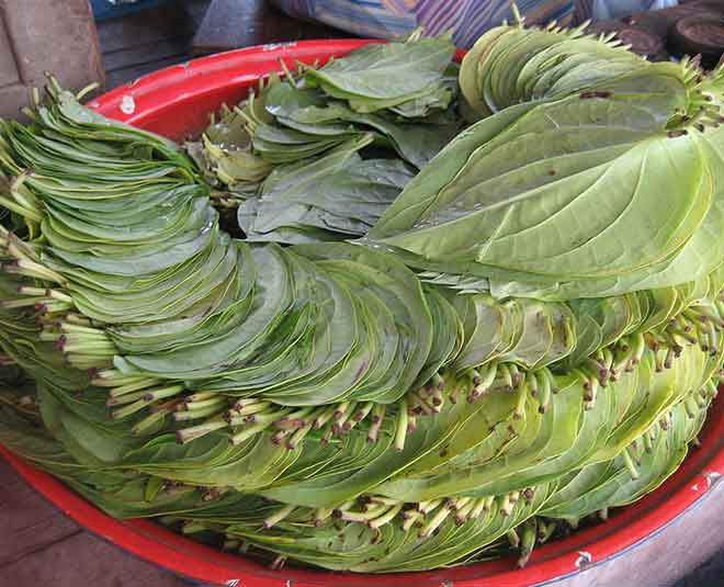 green juice paan