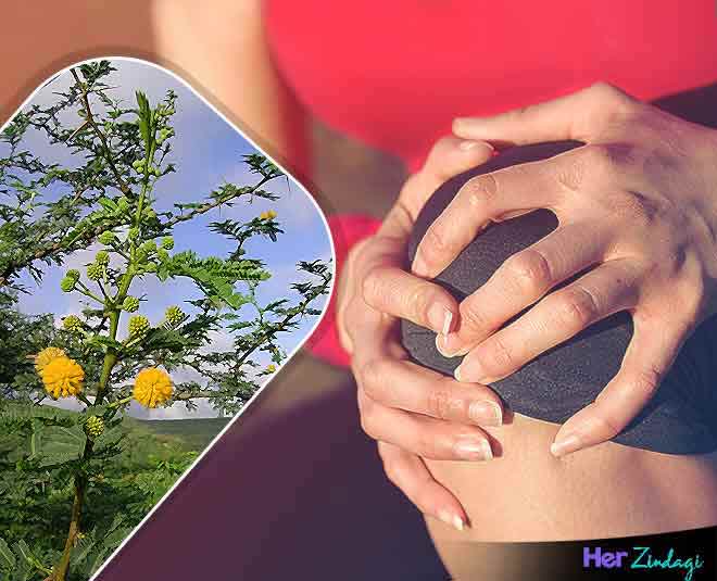 Home Remedies Joint &amp; Knee Pain Cure Babool Benefits in Hindi