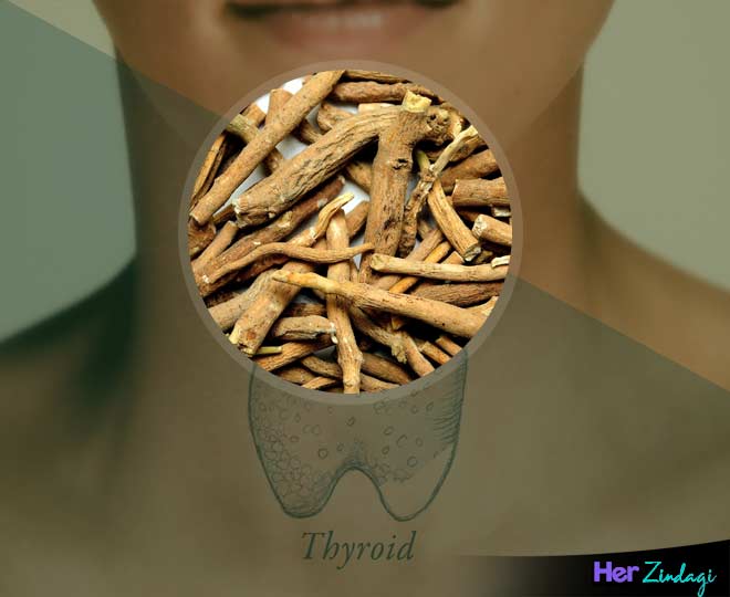 औषधीय जड़ी बूटी है अश्वगंधा (Ashwagandha) thyroid cancer health herbs