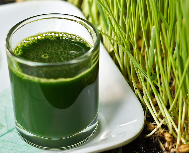 विटामिन 'बी-17' से भरपूर वीट ग्रास wheat grass for breast cancer