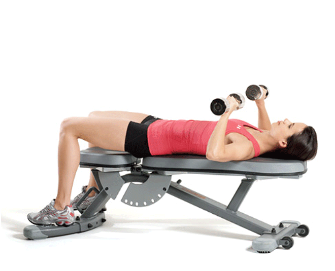 डम्बल press Dumbbell Press