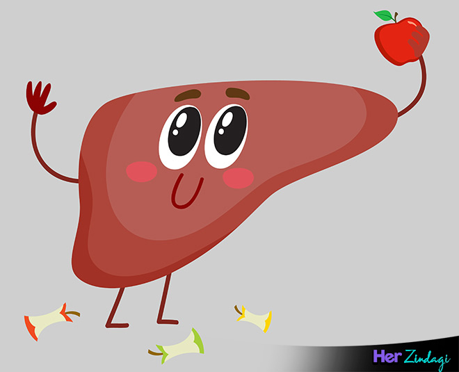 हेल्दी लीवर liver image