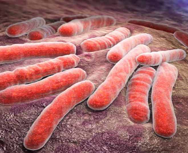 Genital TB impact fertility inside 