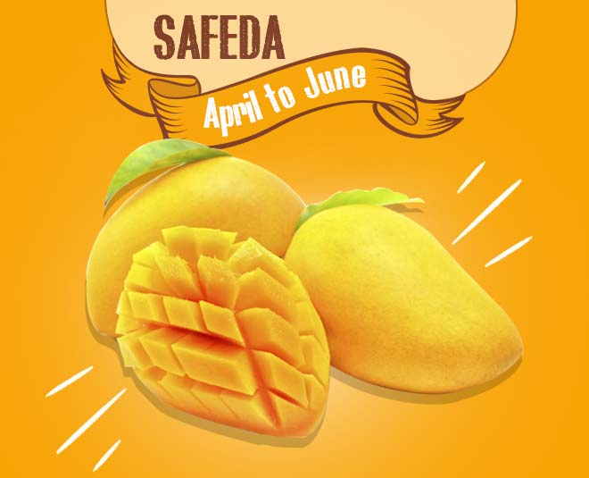 Safeda mango fruit summer