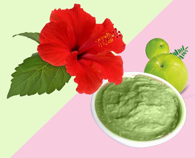 amla gudhal hibiscus  benefits 