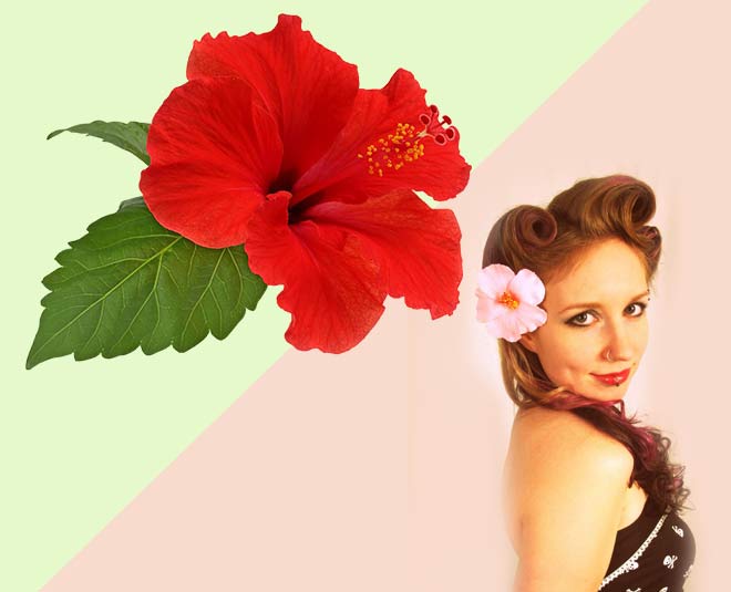 gudhal hibiscus  benefits inside