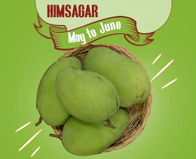 himsagar mango fruit summer